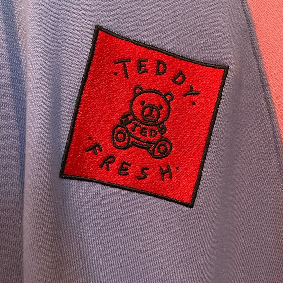 TEDDY FRESH ORIGINAL 2017 COLOR-BLOCK HOODIE BRAND NEW - Picture 2 of 3
